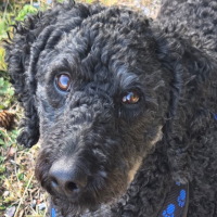 Emilie will take you home